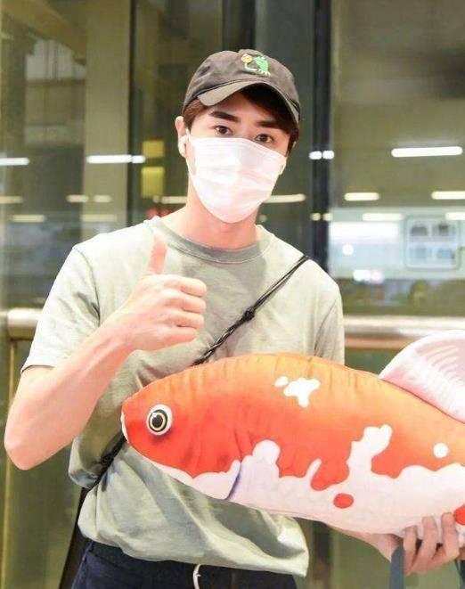 娱乐吃瓜酱养鱼,揭秘网红养鱼背后的趣味生活