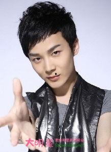 沈凌个人资料,才华横溢的歌手与演员，多面才华的璀璨之星